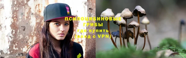тгк Аркадак