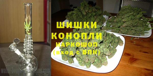 тгк Аркадак
