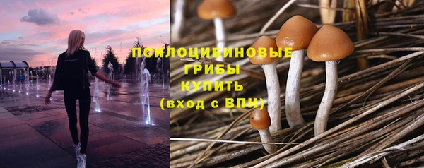 Альфа ПВП Арсеньев