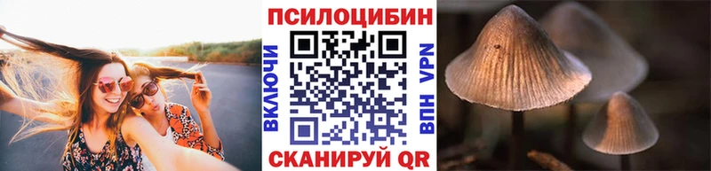 Галлюциногенные грибы Cubensis  Буинск 
